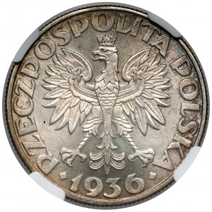 Żaglowiec 5 złotych 1936