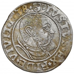 Prusy, Albrecht Hohenzollern, Grosz Królewiec 1538