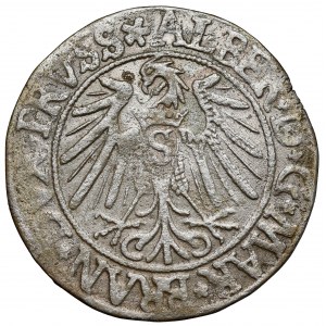 Prusy, Albrecht Hohenzollern, Grosz Królewiec 1538