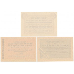 Nowa Sól, Zielona Góra i Żagań, 30 pf - 1.05 mk 1923 - zestaw (3szt)