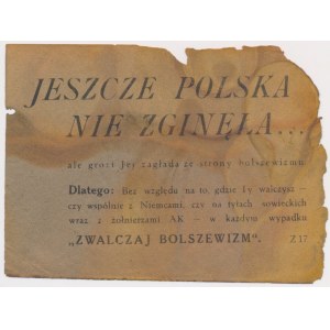 Powstanie Warszawskie, Niemiecka ulotka antybolszewicka 1944 - Jeszcze Polska Nie Zginęła...