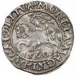 Zygmunt II August, Półgrosz Wilno 1560 - ROZETA