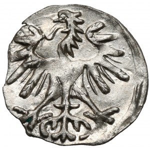 Zygmunt II August, Denar Wilno 1554