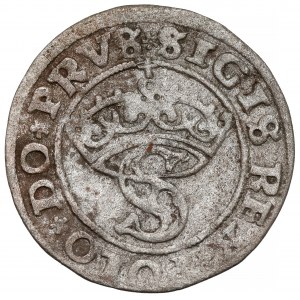 Zygmunt I Stary, Szeląg Toruń 1529