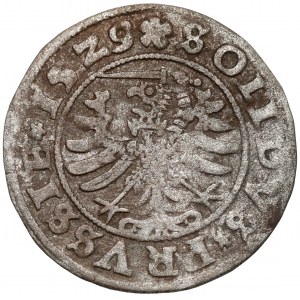 Zygmunt I Stary, Szeląg Toruń 1529