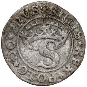 Zygmunt I Stary, Szeląg Toruń 1531