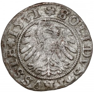 Zygmunt I Stary, Szeląg Toruń 1531
