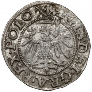 Zygmunt I Stary, Szeląg Gdańsk 1539