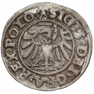 Zygmunt I Stary, Szeląg Gdańsk 1538