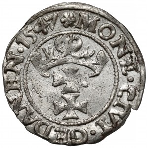 Zygmunt I Stary, Szeląg Gdańsk 1547