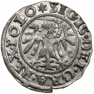 Zygmunt I Stary, Szeląg Gdańsk 1547