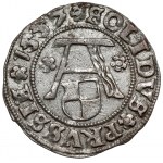 Prusy, Albrecht Hohenzollern, Szeląg Królewiec 1557 - b.rzadki