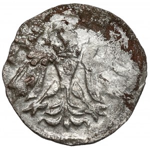 Zygmunt II August, Denar Gdańsk 1557
