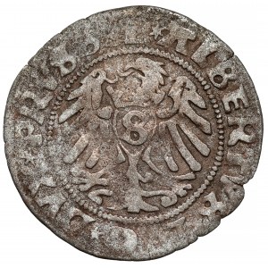 Prusy, Albrecht Hohenzollern, Szeląg Królewiec 1529