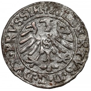 Prusy, Albrecht Hohenzollern, Szeląg Królewiec 1552