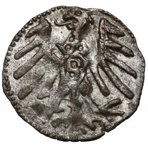 Prusy, Albrecht Hohenzollern, Denar Królewiec bez daty