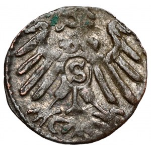 Prusy, Albrecht Hohenzollern, Denar Królewiec 1560