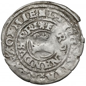Czechy, Ferdynand I Habsburg (1526-1564) Grosz praski