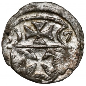 Zygmunt II August, Denar Elbląg 1557