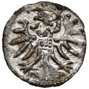 Zygmunt II August, Denar Elbląg 1557