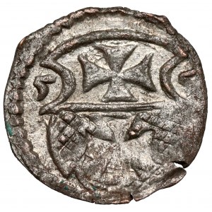 Zygmunt II August, Denar Elbląg 1555