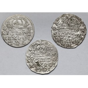 Zygmunt III Waza, Grosz Bydgoszcz 1623-1627 - zestaw (3szt)
