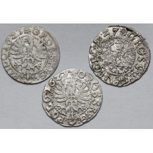 Zygmunt III Waza, Grosz Bydgoszcz 1623-1627 - zestaw (3szt)