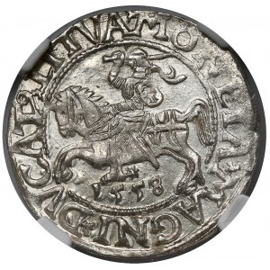 Zygmunt II August, Półgrosz Wilno 1558
