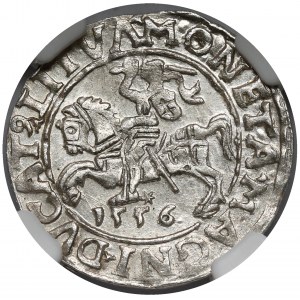 Zygmunt II August, Półgrosz Wilno 1556 - A bez belki