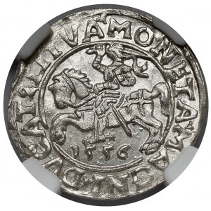Zygmunt II August, Półgrosz Wilno 1556