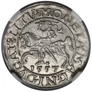 Zygmunt II August, Półgrosz Wilno 1557 - LITV - menniczy