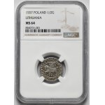 Zygmunt II August, Półgrosz Wilno 1557 - LITV - menniczy