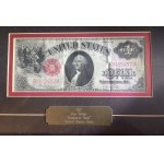 USA, 1 Dollar 1917 - bardzo ładny - za szybą i w ramie ściennej