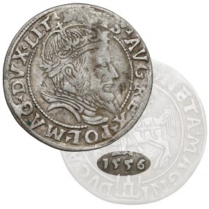 Zygmunt II August, Grosz na stopę litewską 1556, Wilno
