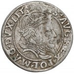 Zygmunt II August, Grosz na stopę litewską 1556, Wilno