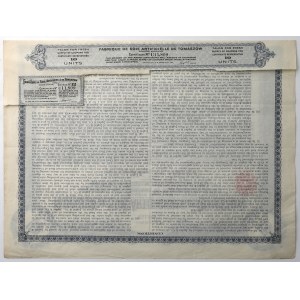 Tomaszów, Fabryka Sztucznego Jedwabiu, 10 Units 1928