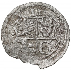 Śląsk, Ferdynand II, Dwuhalerz Głogów bez daty (1622) - rzadkość