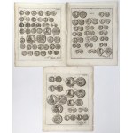 VII tablic do dzieła T. Czackiego 1800 - zestaw (7szt)