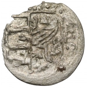 Śląsk, Księstwo Oleśnickie, Konrad X Młody Biały (1450-1492) Halerz, Wołów (1471-1490)