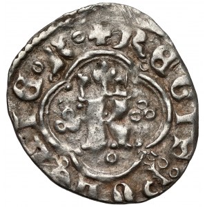 Kazimierz III Wielki, Kwartnik ruski, Lwów