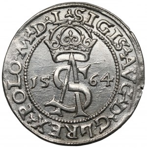 Sigismond II Auguste, Trojak Vilnius 1564