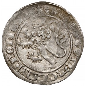 Meissen, Friedrich IV (1406-1440) Grosz bez daty, Freiberg