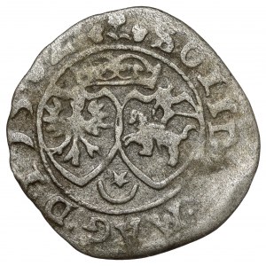 Stefan Batory, Szeląg Wilno 1582 - STEP - b.rzadki