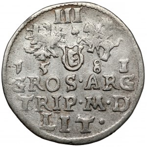 Stefan Batory, Trojak Wilno 1581 - LISTEK nad herbem - b.rzadki