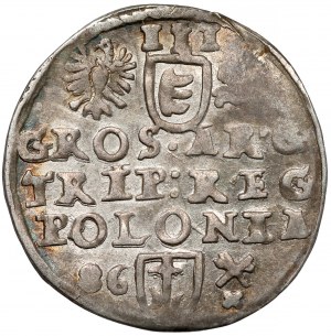 Stefan Batory, Trojak Poznań 1586