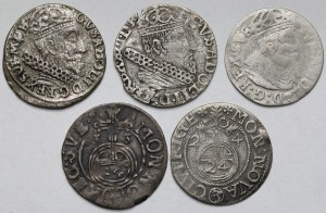 Gustavus II Adolphus, Trojaks, half-tracks and pennies - set (5pcs)