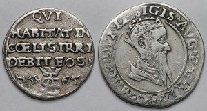 Sigismond II Auguste, fausse troïka 1565 et faux carré 1569 - set (2pc)