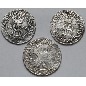 Zygmunt II August, Czworak i Trojaki 1562-1566 - zestaw (3szt)