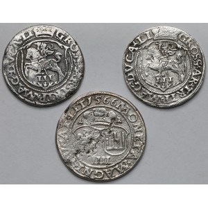 Zygmunt II August, Czworak i Trojaki 1562-1566 - zestaw (3szt)