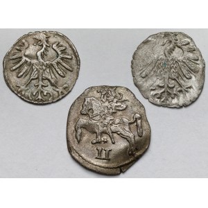 Zygmunt II August, Dwudenar i denary 1555-1569 - zestaw (3szt)